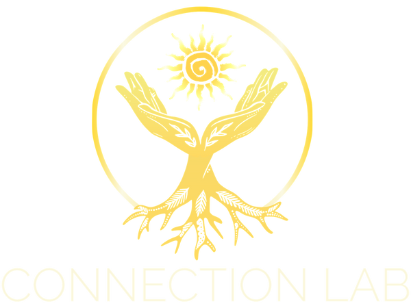 Connection Lab